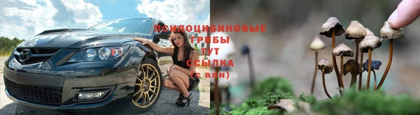 эйфоретик Баксан
