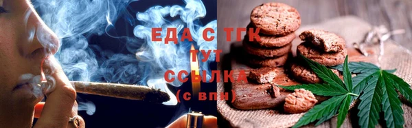 индика Богданович